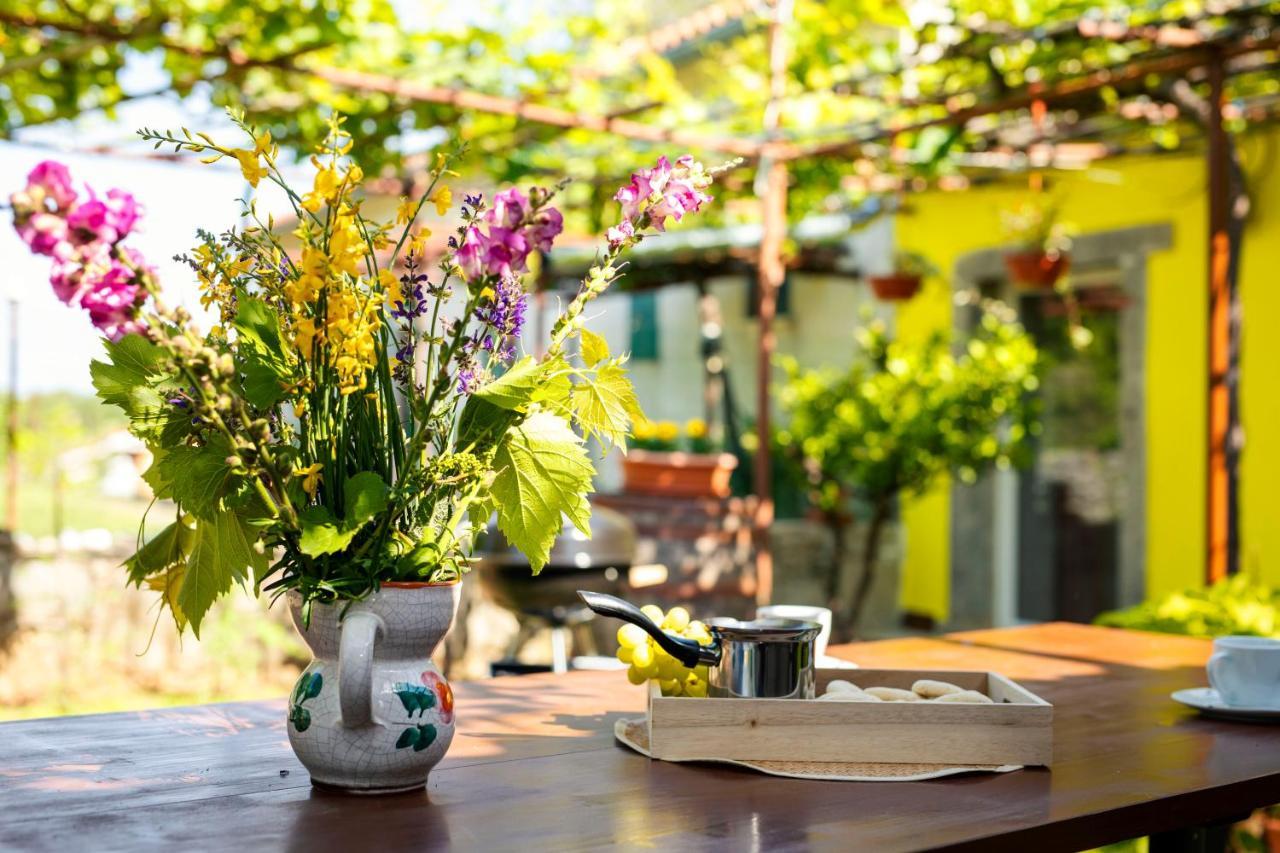 Holiday House Nono Labin (Istria) Exterior foto